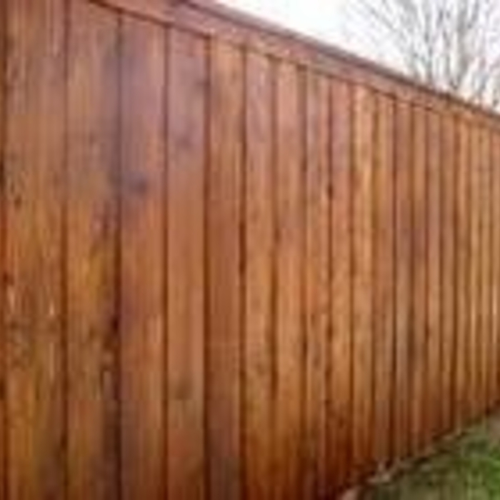 Ceder fence