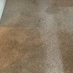 Before Cleaning!