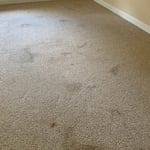 before cleaning