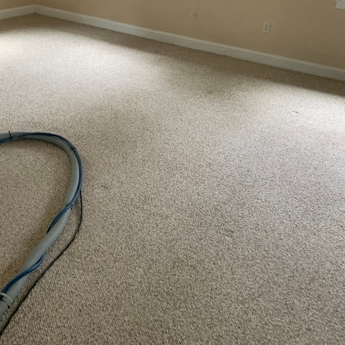 after cleaning