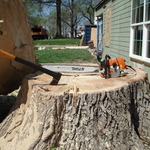 Large Removal Next To House