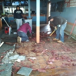 Sandy Damages