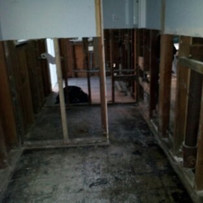 Rip out dry wall