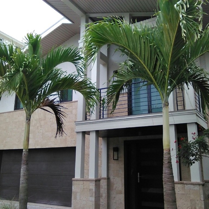 Exterior- After