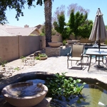 Fish Pond