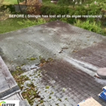 Roof Replacement