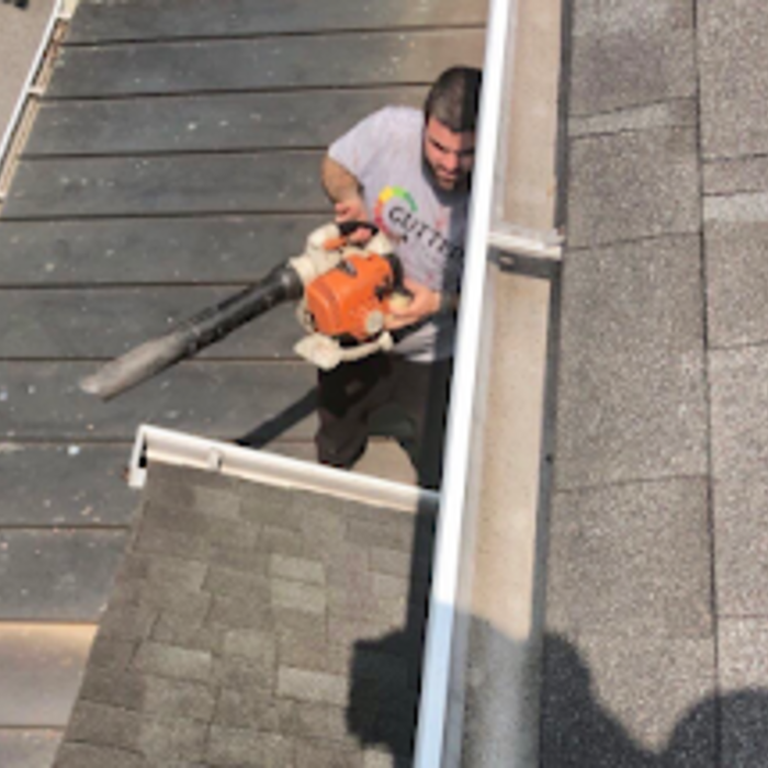 Gutter Cleaning