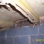 Termite Damage to floor joist, rim joist and sill plate.
