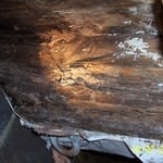 Termite and Moisture Damage to wood in crawl space.