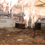 Crawl Space Before