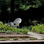 Patio Planting in Borough