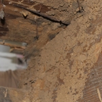 Termite Damage