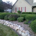 Bush trimming, gutter cleaning, edging, much more