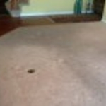 before Cleaning