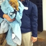 Humane Wildlife Removal