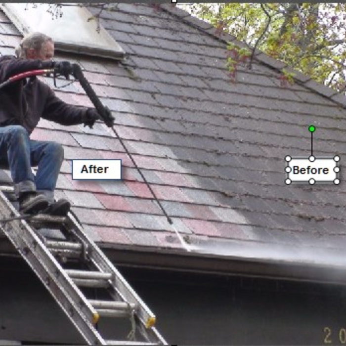 Additional Photos