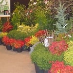 Landscape Design