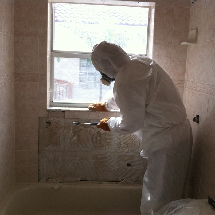 Mold Remediation