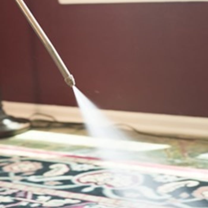 Area and Oriental Rugs