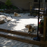 Multi-level Patios next to Waterfall