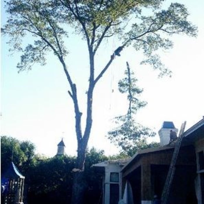 Additional Photos