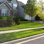 A beautiful lawn we maintain.