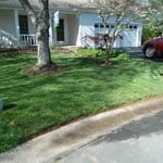 Sod Installation