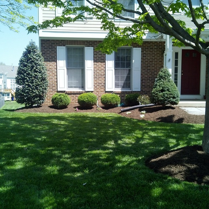 Additional Photos
