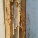 Drywood Damage