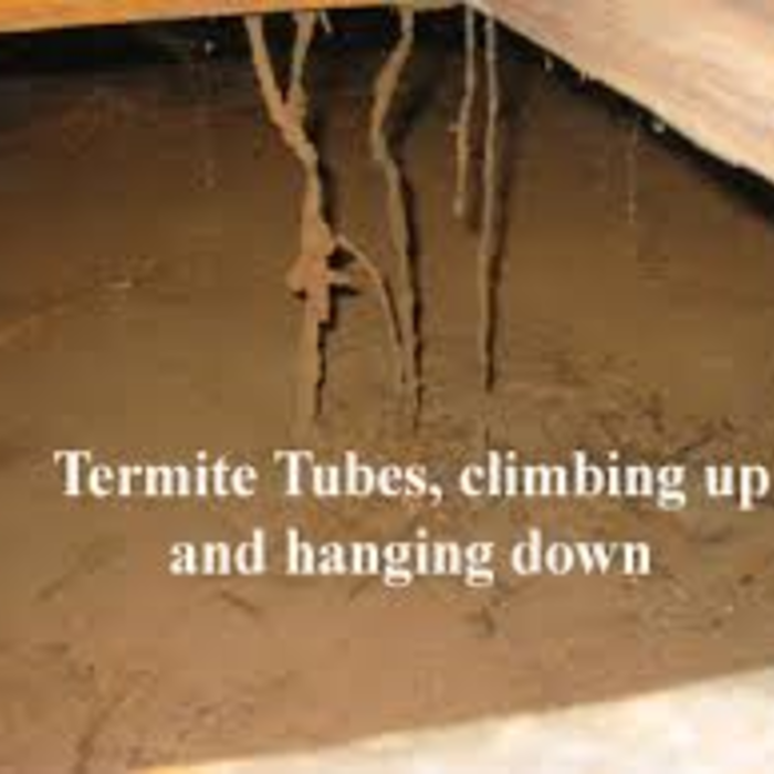 Subterranean Tubes