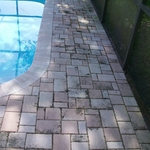 Mildew Before