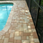 Mildew After