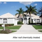 Roof After