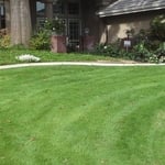 JIM WOODSON GARDENING SERVICE