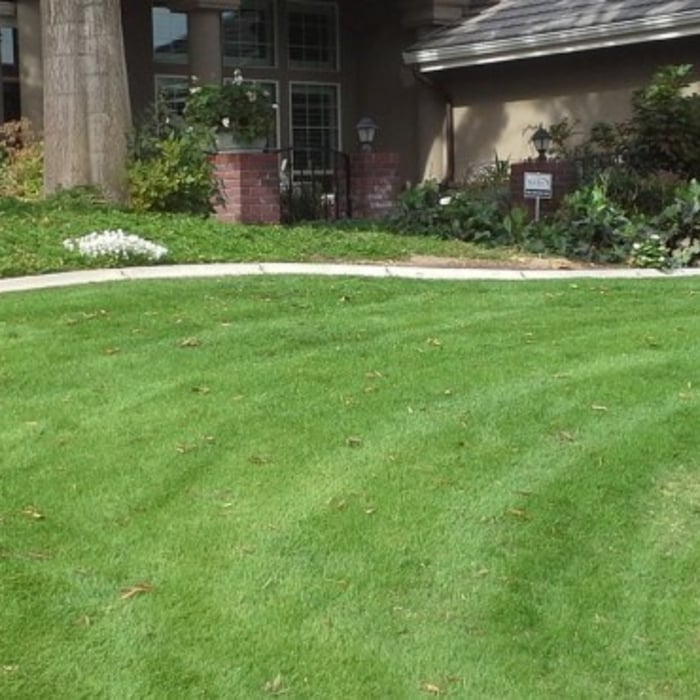 JIM WOODSON GARDENING SERVICE