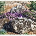 Pic 1