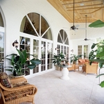 Glass Doors and Windows