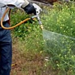 CPR Pest Management