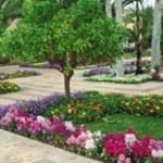 -Call today for a free estimate. Phone (908)-672-1496