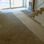 Heavily soiled carpet, except where runners were