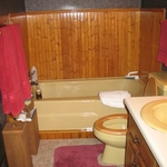 Bathroom Before