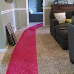 Carpet Protector
