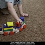 Stainmaster Carpet