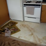 Before