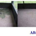 Carpet Cleaning