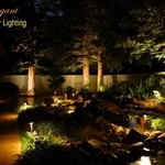 See your beautiful backyard gardens at night with a professional lighting portrait.