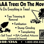 AAA TREES ON THE MOVE