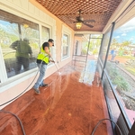 Mold Remediation Project
