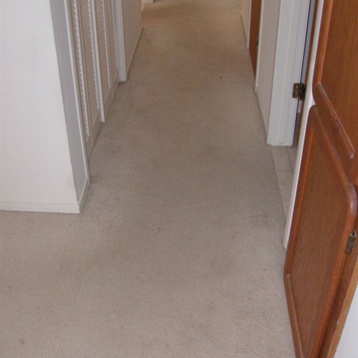 Hallway before Cleaning