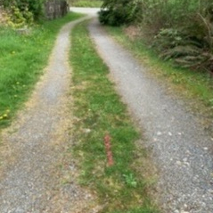 Long driveway with water pipe beneath